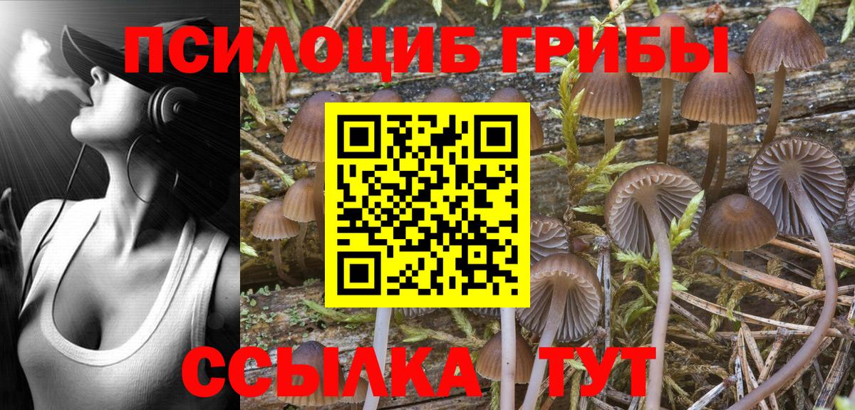Галлюциногенные грибы Magic Shrooms Джанкой