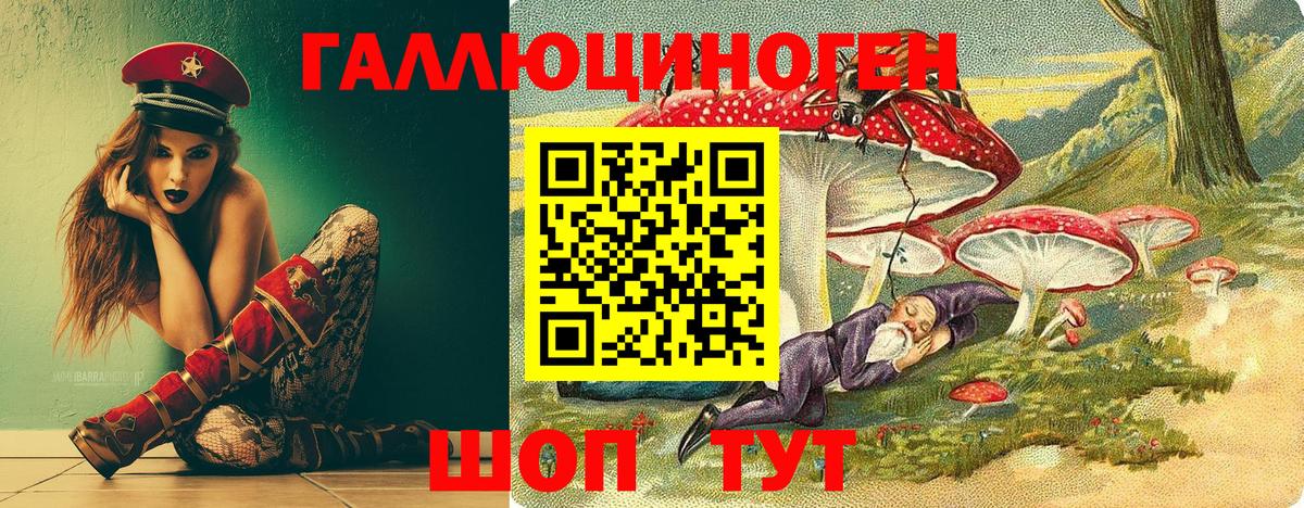 Джанкой  Галлюциногенные грибы Psilocybe  Вход с VPN  наркошоп  Псилоцибиновые грибы GOLDEN TEACHER 